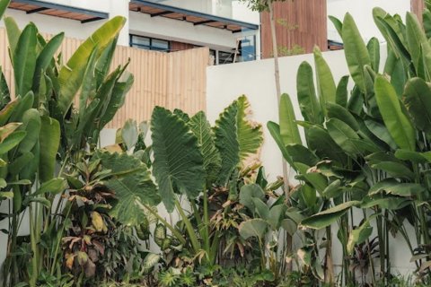 3 bedrooms Villa in Canggu, Badung, Bali (14622) 11