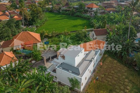 2 bedrooms Villa in Canggu, Badung, Bali (14740) 18