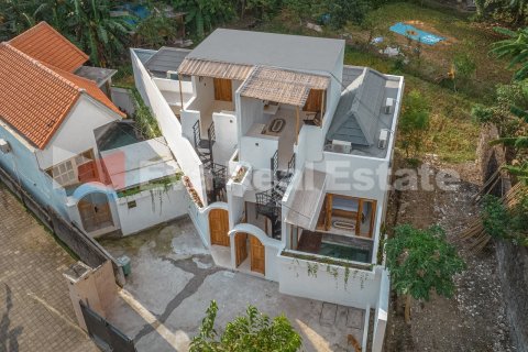 2 bedrooms Villa in Canggu, Badung, Bali (14740) 3