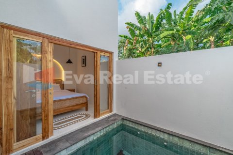 2 bedrooms Villa in Canggu, Badung, Bali (14740) 12