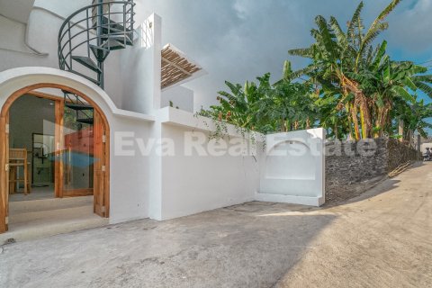 2 bedrooms Villa in Canggu, Badung, Bali (14740) 2