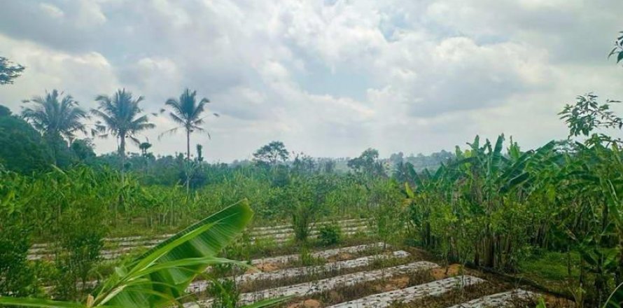 3420m2 Land in Ubud, Gianyar, Bali (13907)