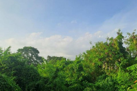 Земельный участок 2950м2 в Чангу, Бадунг, (9884) 2