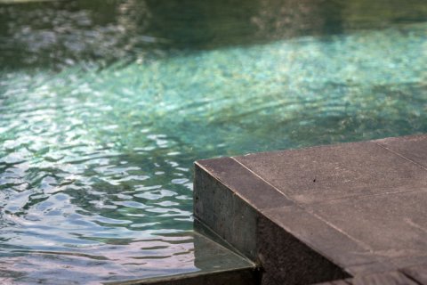 2 bedrooms Villa in Ubud, Gianyar, Bali (15771) 24