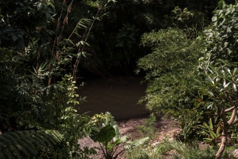 2 bedrooms Villa in Ubud, Gianyar, Bali (15771) 27