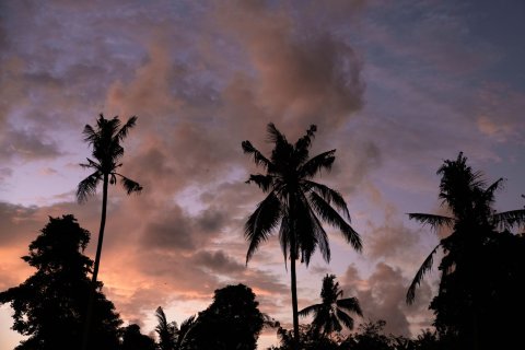 2 bedrooms Villa in Ubud, Gianyar, Bali (15771) 22