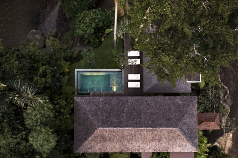 2 bedrooms Villa in Ubud, Gianyar, Bali (15771) 5