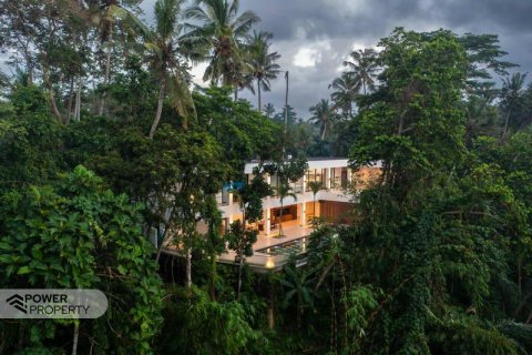 4 bedrooms Villa in Ubud, Gianyar, Bali (10332) 2