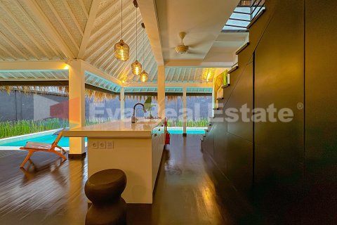 2 bedrooms Villa in Seminyak, Badung, Bali (14767) 9