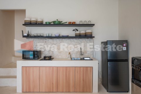 2 bedrooms Villa in Canggu, Badung, Bali (14768) 11