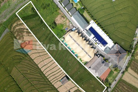 3300m2 Land in Canggu, Badung, Bali (14775) 4