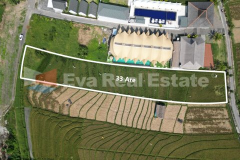 3300m2 Land in Canggu, Badung, Bali (14775) 2