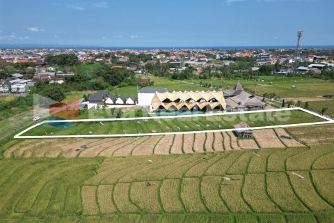 3300m2 Land in Canggu, Badung, Bali (14775) 3