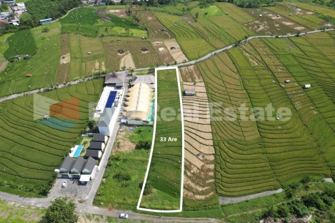 3300m2 Land in Canggu, Badung, Bali (14775)