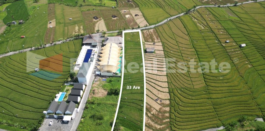 3300m2 Land in Canggu, Badung, Bali (14775)