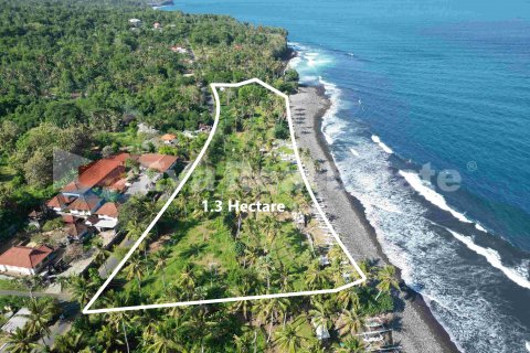 13150m2 Land in Karangasem, Karang Asem, Bali (14773) 2