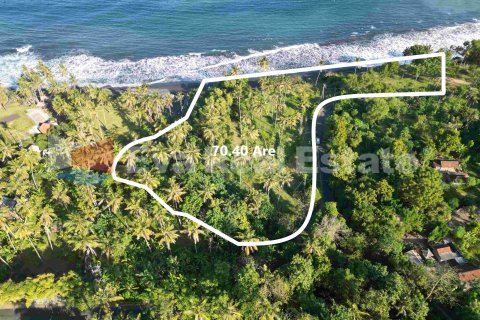 7040m2 Land in Karangasem, Karang Asem, Bali (14774) 2