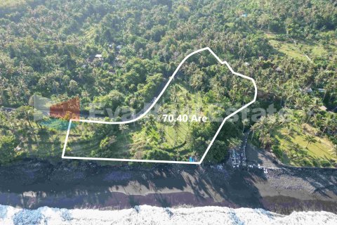7040m2 Land in Karangasem, Karang Asem, Bali (14774)
