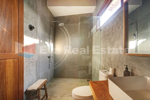 2 bedrooms Villa in Munggu, Mengwi, Badung, Bali (14772) 21