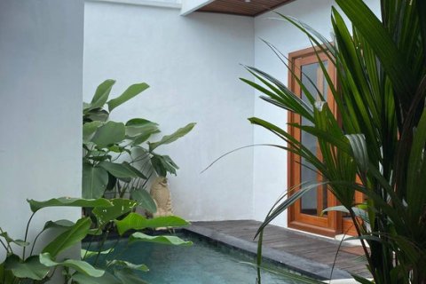 2 bedrooms Villa in Canggu, Badung, Bali (14855) 6