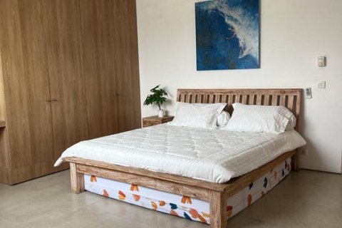 4 bedrooms Villa in Canggu, Badung, Bali (14856) 3