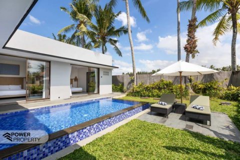 2 bedrooms Villa in Gianyar,  (9234) 3