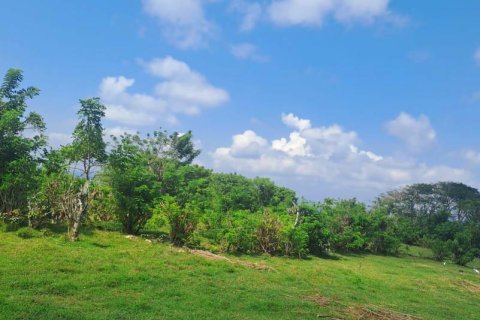 Земельный участок 9300м2 в Южная Кута, Бадунг,  (9291) 7