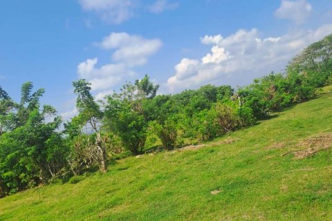 Земельный участок 9300м2 в Южная Кута, Бадунг,  (9291) 6