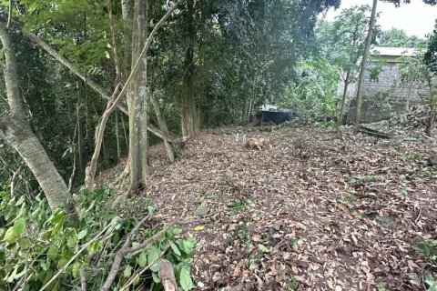 Земельный участок 1204м2 в Табанан,  (9290) 13