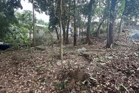 Земельный участок 1204м2 в Табанан,  (9290) 12