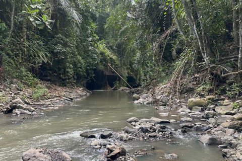 Земельный участок 1204м2 в Табанан,  (9290) 20