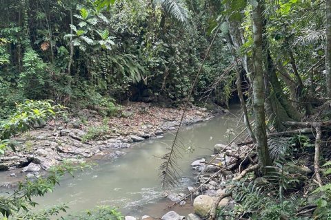 Земельный участок 1204м2 в Табанан,  (9290) 21