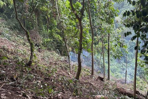 Земельный участок 1204м2 в Табанан,  (9290) 10