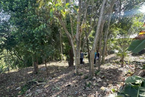 Земельный участок 1204м2 в Табанан,  (9290) 9