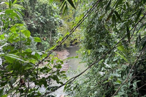 Земельный участок 1204м2 в Табанан,  (9290) 16