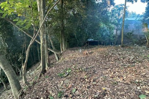 Земельный участок 1204м2 в Табанан,  (9290) 6