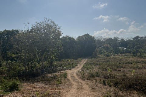 9700m2 Land in Ungasan, Badung, Bali (14017) 2