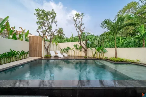 1 bedroom Villa in Canggu, Badung, Bali (11675) 24